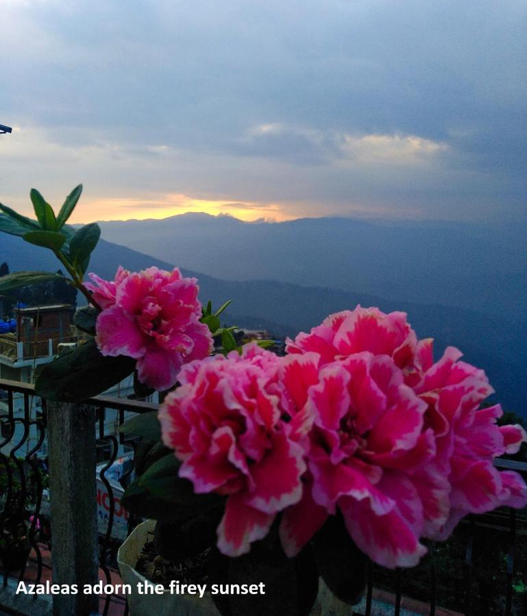West Point Backpackers Hostel Darjeeling  Exterior foto